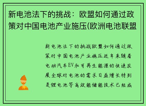 新电池法下的挑战：欧盟如何通过政策对中国电池产业施压(欧洲电池联盟)