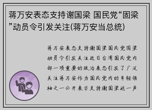 蒋万安表态支持谢国梁 国民党“固梁”动员令引发关注(蒋万安当总统)